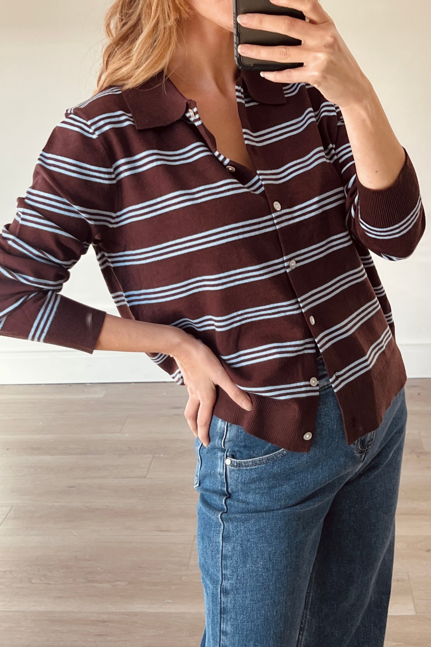 Blue/Brown Stripe Knit Shirt
